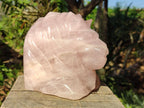 Polished Large Lion Head Rose Quartz Carving x 1 From Madagascar - Toprock Gemstones and Minerals 