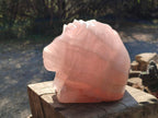 Polished Large Lion Head Rose Quartz Carving x 1 From Madagascar - Toprock Gemstones and Minerals 