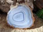 Polished Banded Agate Slices with Natural Edging x 12 From Madagascar - Toprock Gemstones and Minerals 