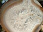 Polished Banded Agate Slices with Natural Edging x 12 From Madagascar - Toprock Gemstones and Minerals 