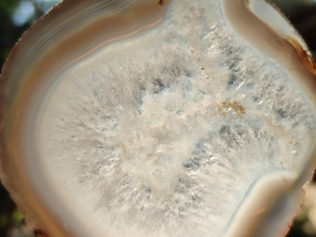 Polished Banded Agate Slices with Natural Edging x 12 From Madagascar - Toprock Gemstones and Minerals 