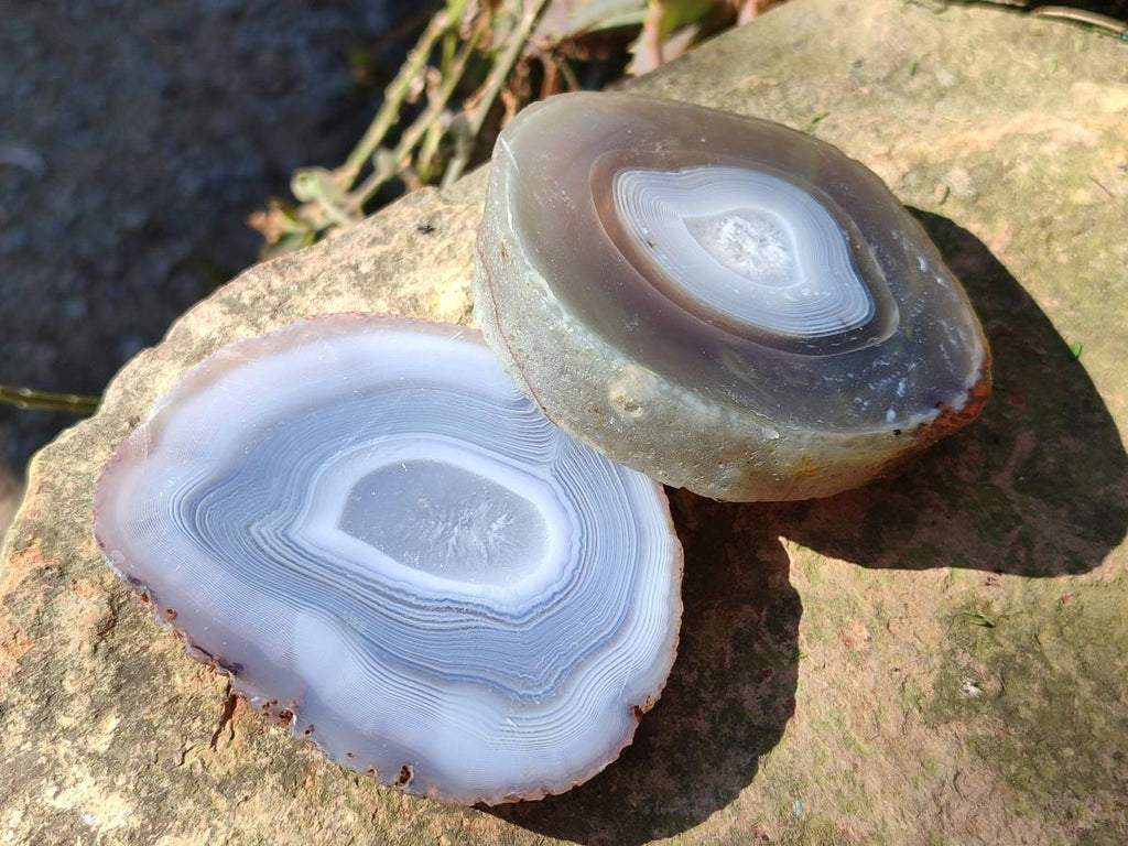 Polished Banded Agate Slices with Natural Edging x 12 From Madagascar - Toprock Gemstones and Minerals 