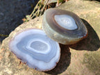 Polished Banded Agate Slices with Natural Edging x 12 From Madagascar - Toprock Gemstones and Minerals 
