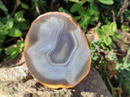 Polished Banded Agate Slices with Natural Edging x 12 From Madagascar - Toprock Gemstones and Minerals 