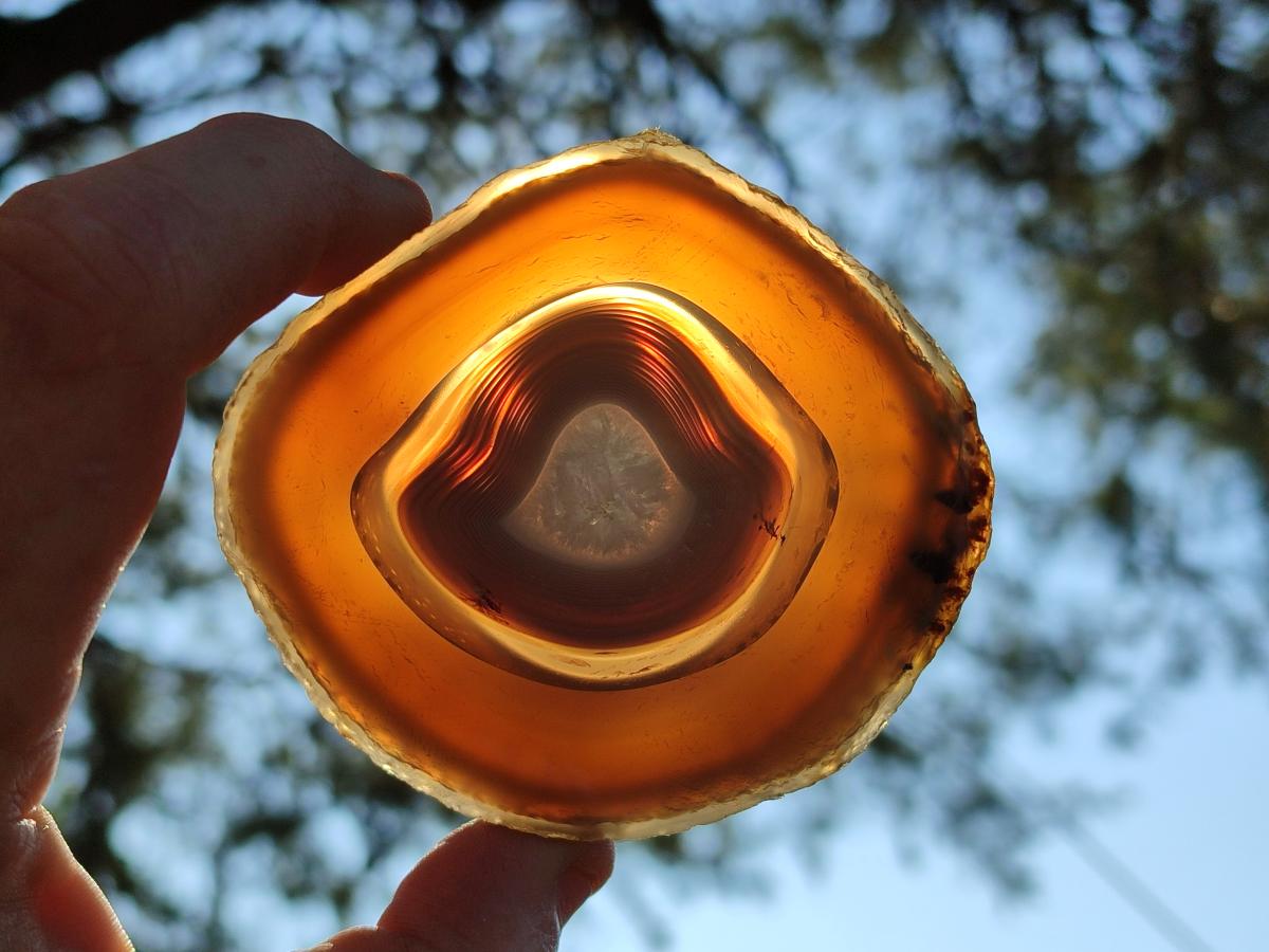 Polished Banded Agate Slices with Natural Edging x 12 From Madagascar - Toprock Gemstones and Minerals 