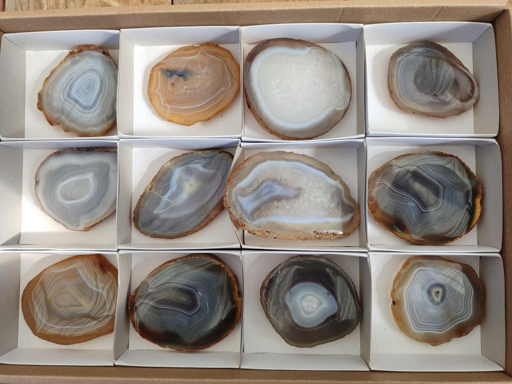 Polished Banded Agate Slices with Natural Edging x 12 From Madagascar - Toprock Gemstones and Minerals 
