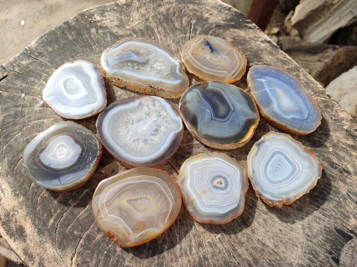 Polished Banded Agate Slices with Natural Edging x 12 From Madagascar - Toprock Gemstones and Minerals 