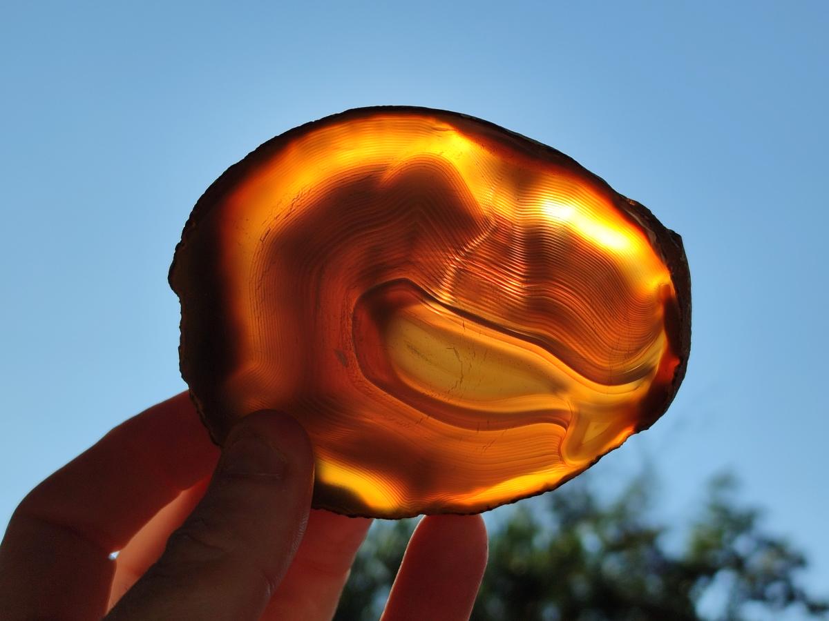 Polished Banded Agate Slices with Natural Edging x 12 From Madagascar - Toprock Gemstones and Minerals 
