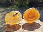 Polished Banded Agate Slices with Natural Edging x 12 From Madagascar - Toprock Gemstones and Minerals 