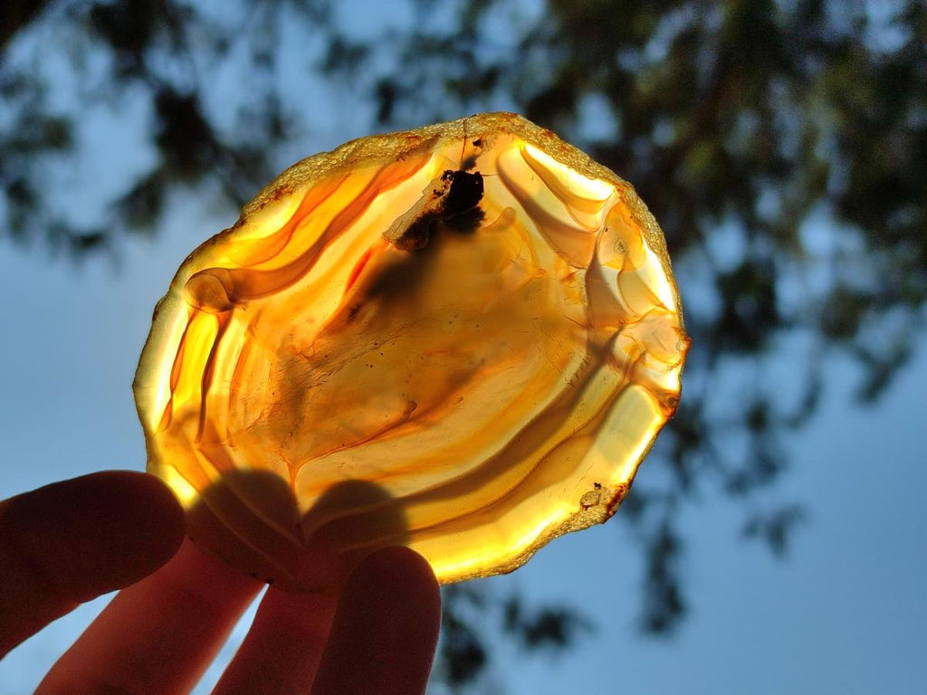 Polished Banded Agate Slices with Natural Edging x 12 From Madagascar - Toprock Gemstones and Minerals 