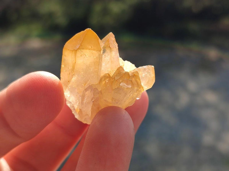 Natural Small Golden Limonite Quartz Clusters x 70 From Solwezi, Zambia - Toprock Gemstones and Minerals 