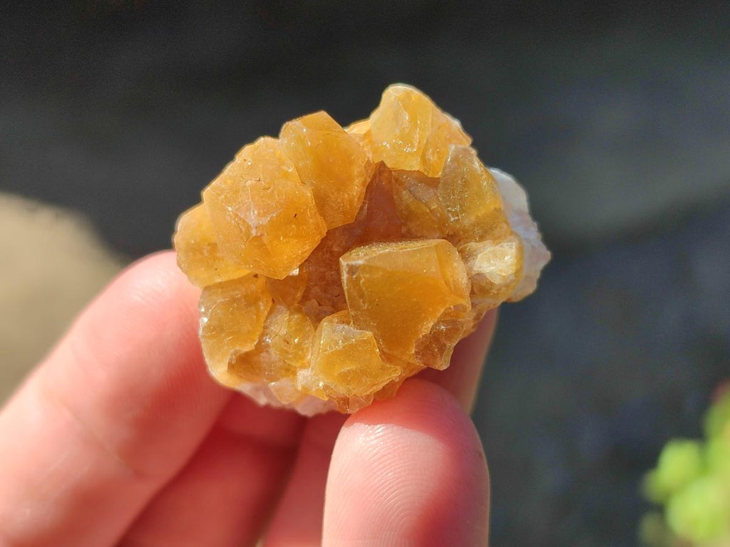 Natural Small Golden Limonite Quartz Clusters x 70 From Solwezi, Zambia - Toprock Gemstones and Minerals 