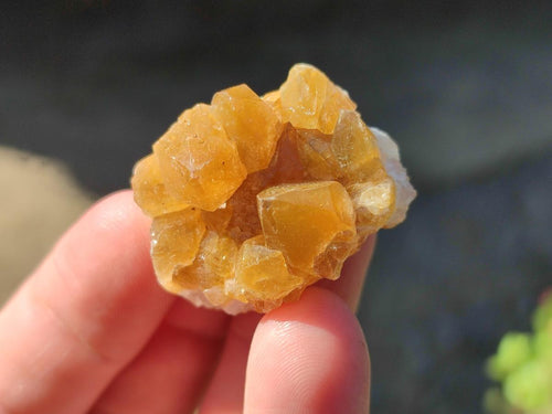 Natural Small Golden Limonite Quartz Clusters x 70 From Solwezi, Zambia - Toprock Gemstones and Minerals 