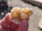Natural Small Golden Limonite Quartz Clusters x 70 From Solwezi, Zambia - Toprock Gemstones and Minerals 