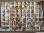 Natural Small Golden Limonite Quartz Clusters x 70 From Solwezi, Zambia - Toprock Gemstones and Minerals 