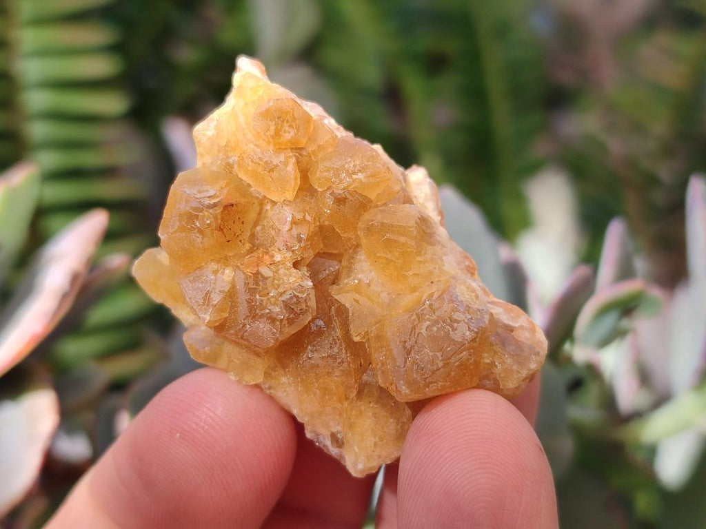 Natural Small Golden Limonite Quartz Clusters x 70 From Solwezi, Zambia - Toprock Gemstones and Minerals 