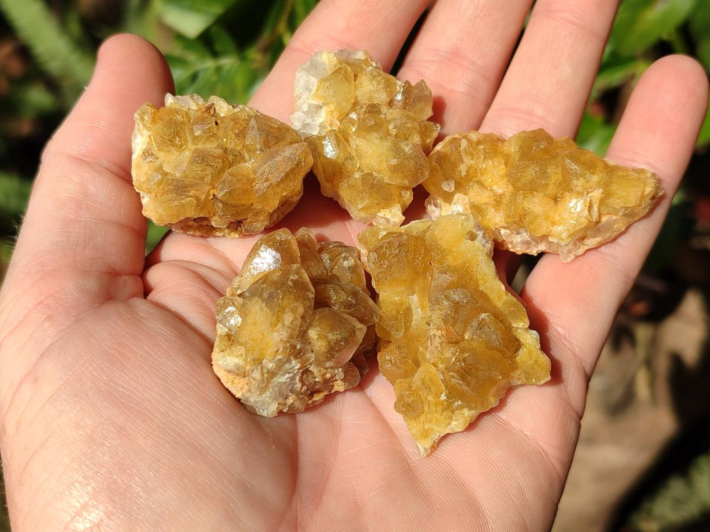Natural Small Golden Limonite Quartz Clusters x 70 From Solwezi, Zambia - Toprock Gemstones and Minerals 