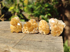 Natural Small Golden Limonite Quartz Clusters x 70 From Solwezi, Zambia - Toprock Gemstones and Minerals 
