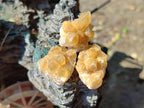 Natural Small Golden Limonite Quartz Clusters x 70 From Solwezi, Zambia - Toprock Gemstones and Minerals 