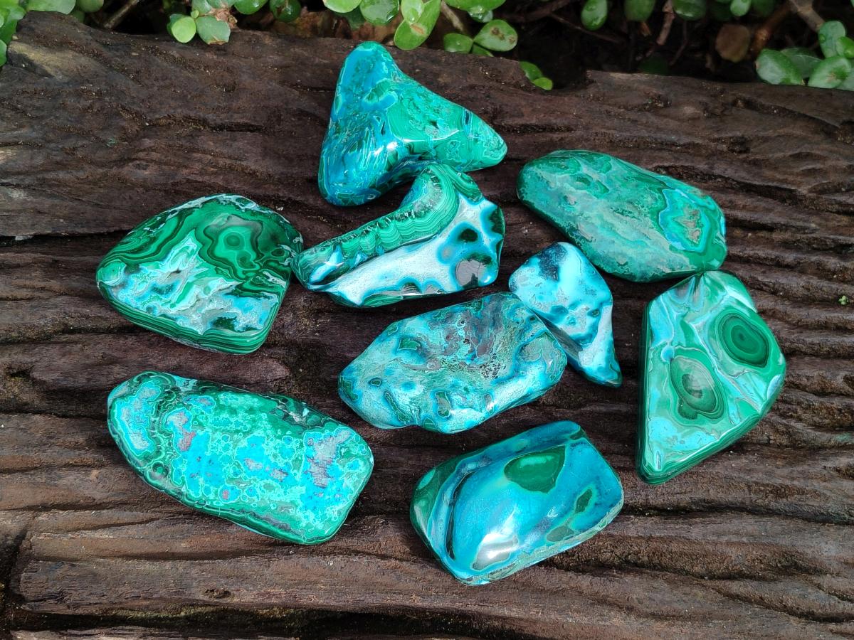 Polished Malacolla Free Forms x 9 From Kulukuluku, Congo - Toprock Gemstones and Minerals 