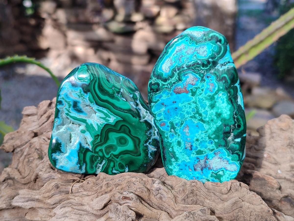 Polished Malacolla Free Forms x 9 From Kulukuluku, Congo - Toprock Gemstones and Minerals 