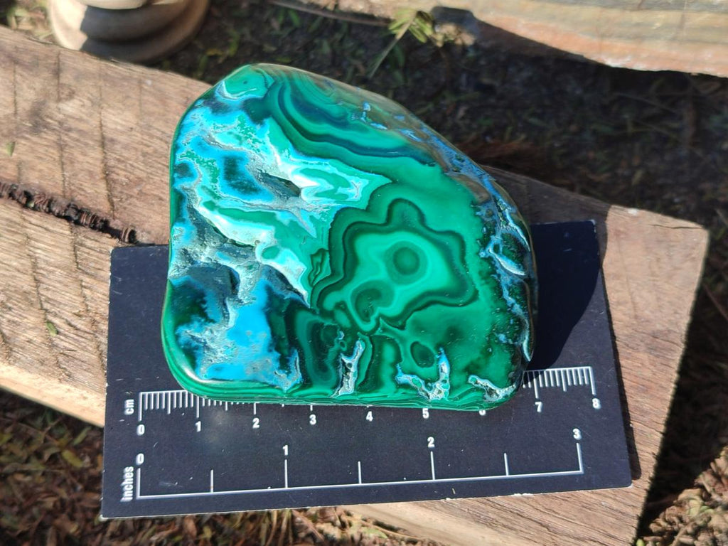 Polished Malacolla Free Forms x 9 From Kulukuluku, Congo - Toprock Gemstones and Minerals 