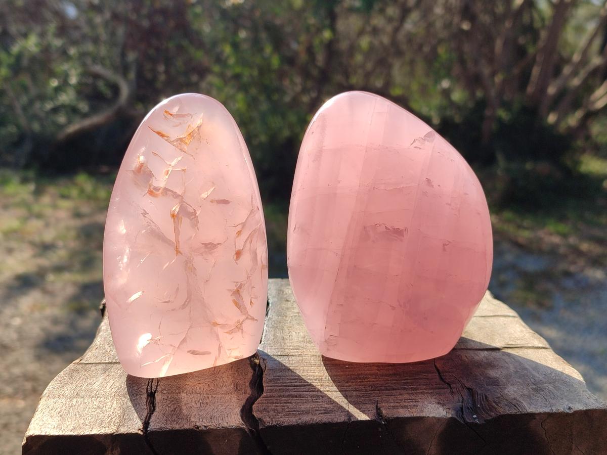 Polished Star Gemmy Rose Quartz Standing Display Pieces x 2 From Madagascar - Toprock Gemstones and Minerals 