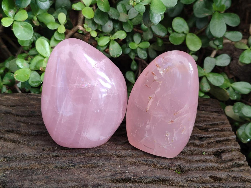 Polished Star Gemmy Rose Quartz Standing Display Pieces x 2 From Madagascar - Toprock Gemstones and Minerals 