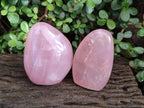 Polished Star Gemmy Rose Quartz Standing Display Pieces x 2 From Madagascar - Toprock Gemstones and Minerals 