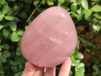 Polished Star Gemmy Rose Quartz Standing Display Pieces x 2 From Madagascar - Toprock Gemstones and Minerals 