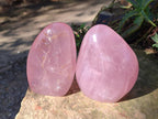 Polished Star Gemmy Rose Quartz Standing Display Pieces x 2 From Madagascar - Toprock Gemstones and Minerals 