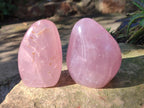 Polished Star Gemmy Rose Quartz Standing Display Pieces x 2 From Madagascar - Toprock Gemstones and Minerals 