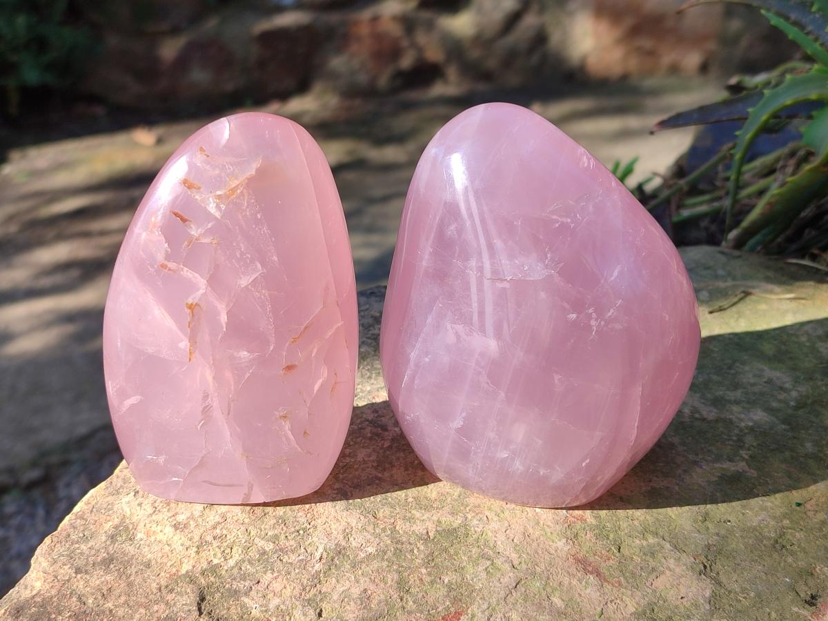Polished Star Gemmy Rose Quartz Standing Display Pieces x 2 From Madagascar - Toprock Gemstones and Minerals 