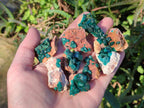 Natural Dioptase on Dolomite Specimens x 20 From Likasi, Congo - Toprock Gemstones and Minerals 