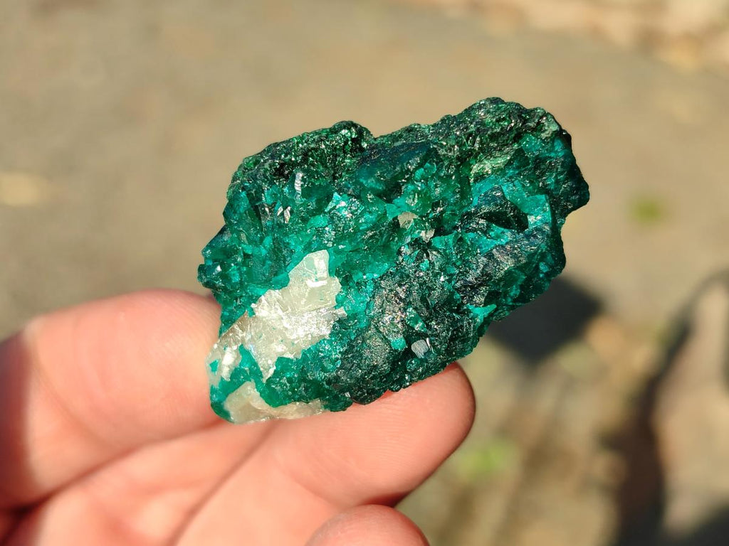 Natural Dioptase on Dolomite Specimens x 20 From Likasi, Congo - Toprock Gemstones and Minerals 