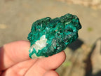 Natural Dioptase on Dolomite Specimens x 20 From Likasi, Congo - Toprock Gemstones and Minerals 