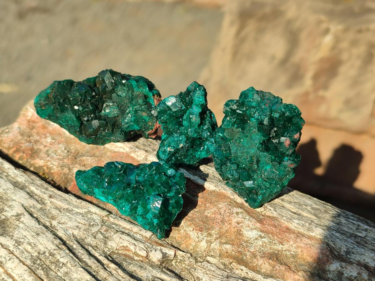 Natural Dioptase on Dolomite Specimens x 20 From Likasi, Congo - Toprock Gemstones and Minerals 