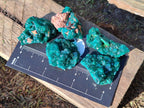 Natural Dioptase on Dolomite Specimens x 20 From Likasi, Congo - Toprock Gemstones and Minerals 