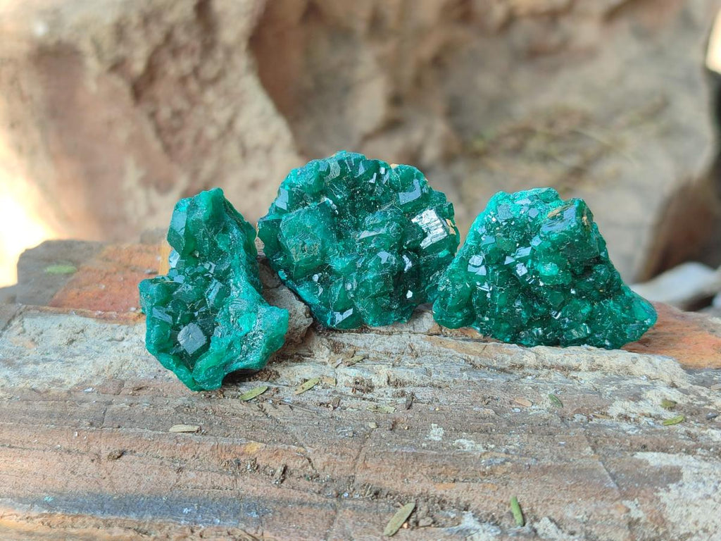 Natural Dioptase on Dolomite Specimens x 20 From Likasi, Congo - Toprock Gemstones and Minerals 