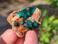 Natural Dioptase on Dolomite Specimens x 20 From Likasi, Congo - Toprock Gemstones and Minerals 