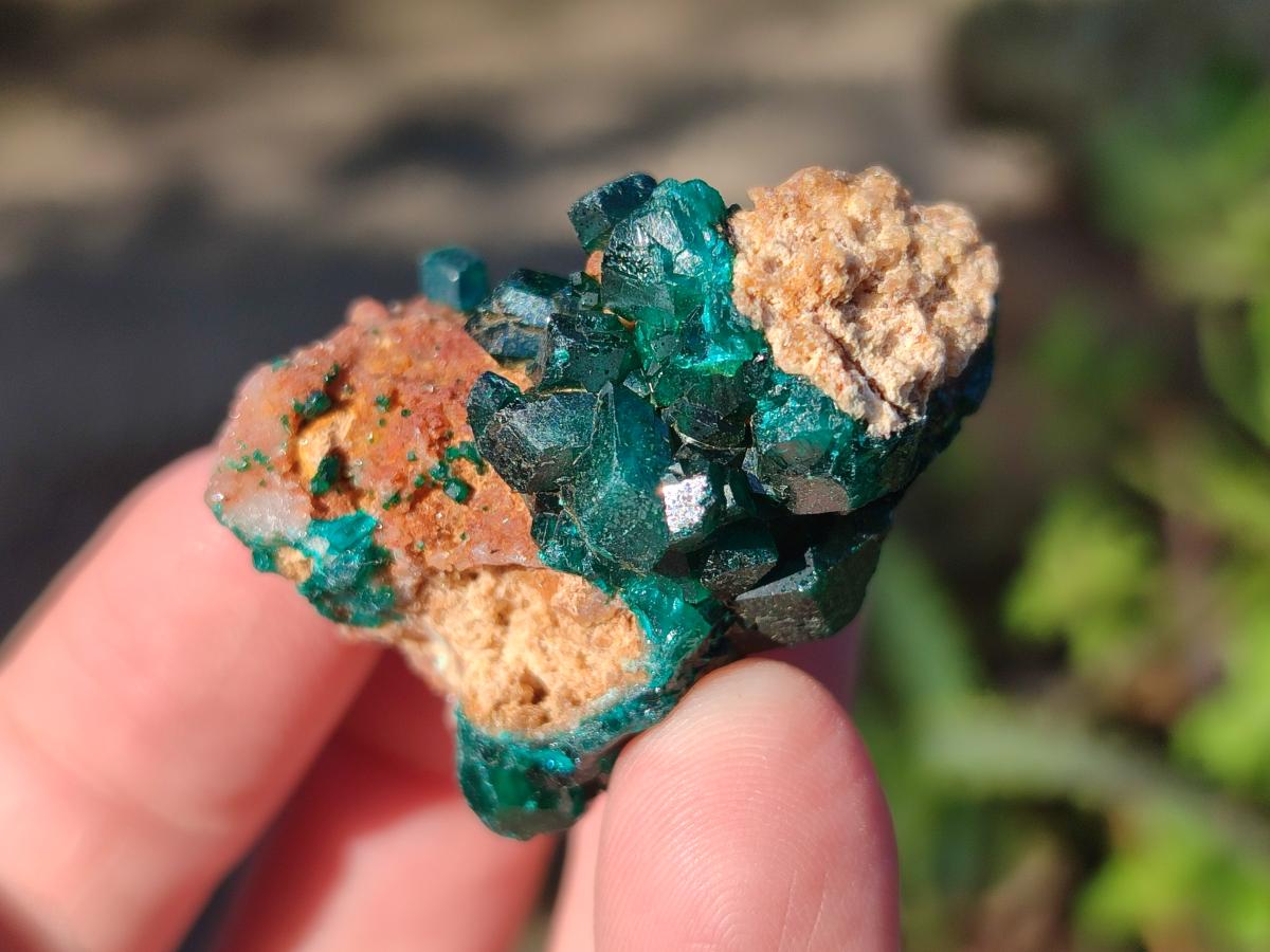 Natural Dioptase on Dolomite Specimens x 20 From Likasi, Congo - Toprock Gemstones and Minerals 