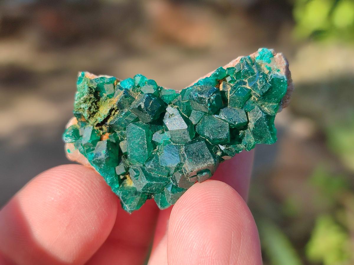 Natural Dioptase on Dolomite Specimens x 20 From Likasi, Congo - Toprock Gemstones and Minerals 