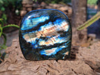 Polished Labradorite Standing Display Pieces x 4 From Madagascar - Toprock Gemstones and Minerals 