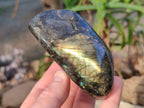 Polished Labradorite Standing Display Pieces x 4 From Madagascar - Toprock Gemstones and Minerals 