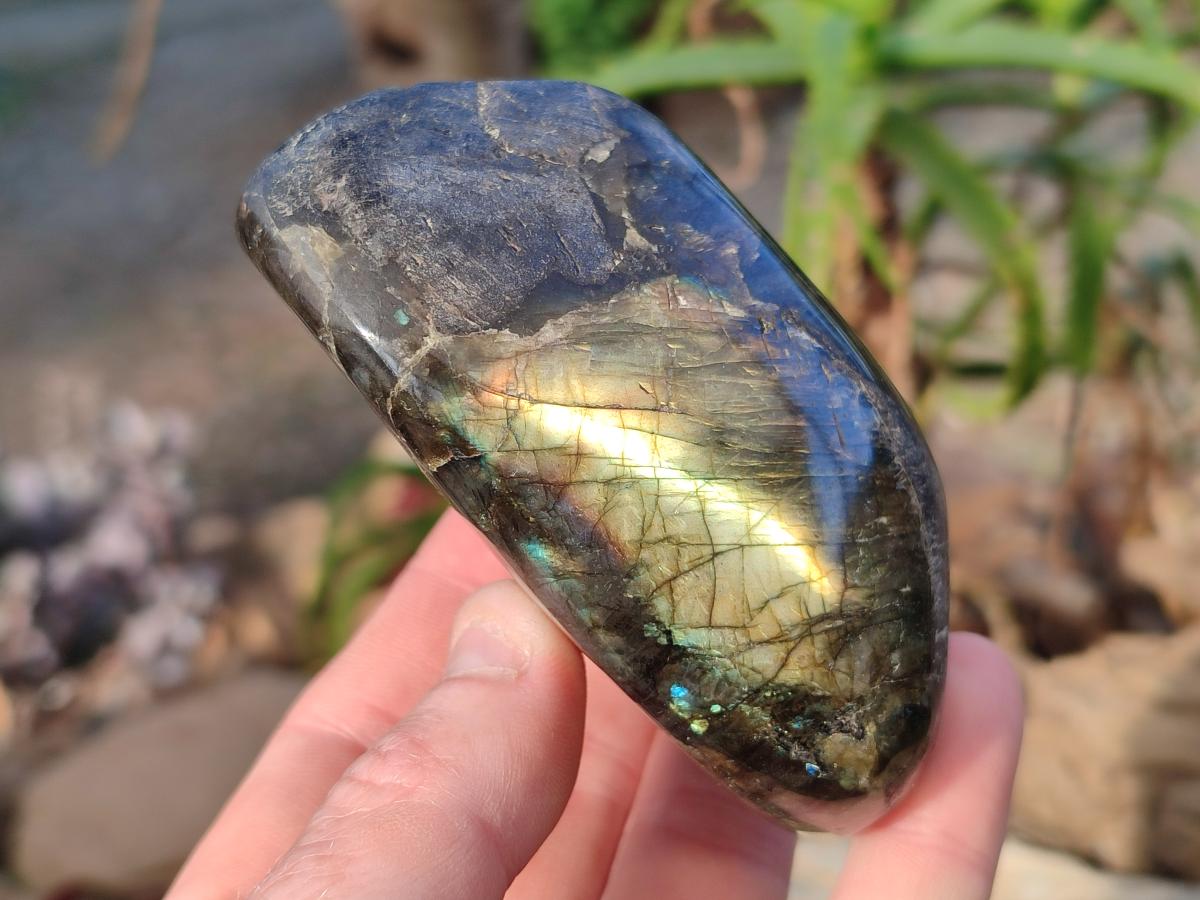 Polished Labradorite Standing Display Pieces x 4 From Madagascar - Toprock Gemstones and Minerals 