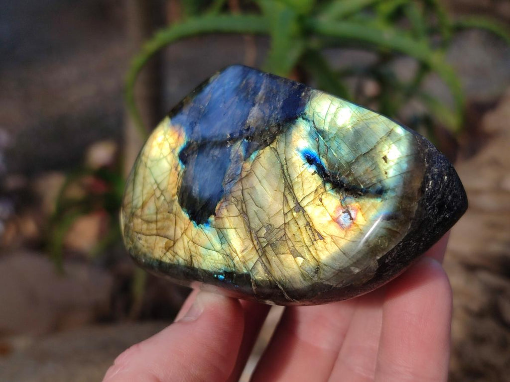 Polished Labradorite Standing Display Pieces x 4 From Madagascar - Toprock Gemstones and Minerals 