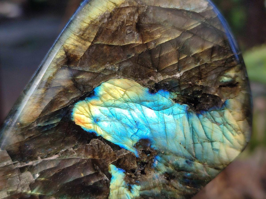 Polished Labradorite Standing Display Pieces x 4 From Madagascar - Toprock Gemstones and Minerals 