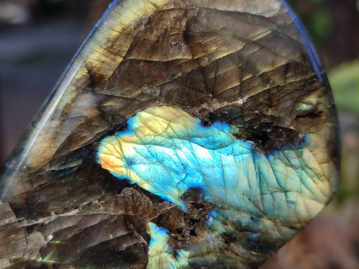Polished Labradorite Standing Display Pieces x 4 From Madagascar - Toprock Gemstones and Minerals 