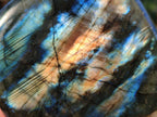 Polished Labradorite Standing Display Pieces x 4 From Madagascar - Toprock Gemstones and Minerals 