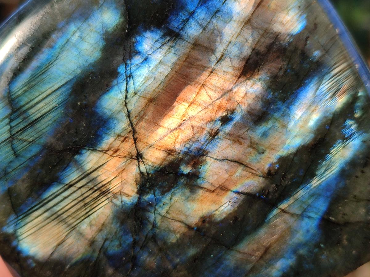 Polished Labradorite Standing Display Pieces x 4 From Madagascar - Toprock Gemstones and Minerals 